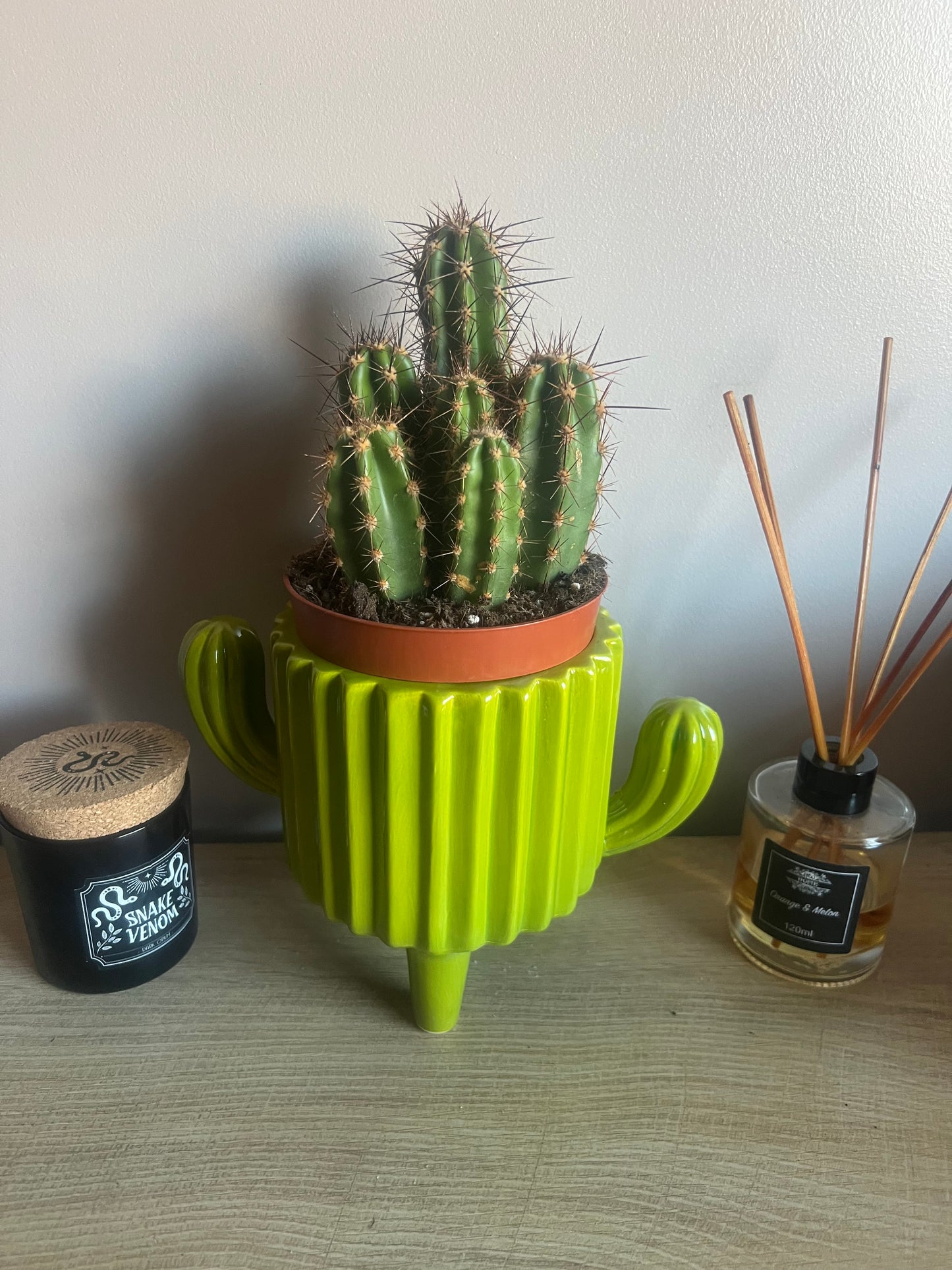 Cacti Ceramic Pot 11cm (3 styles to choose from)