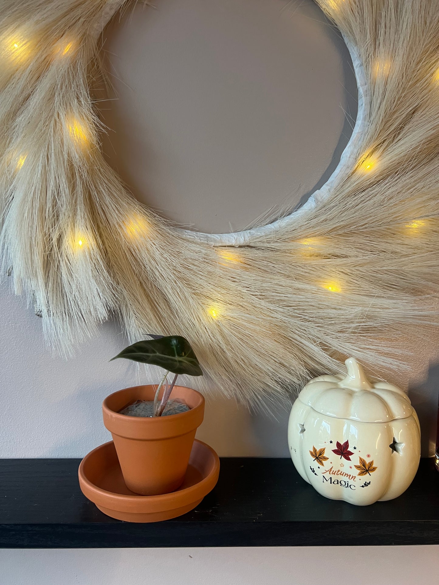 Terracotta pot with saucer 8cm