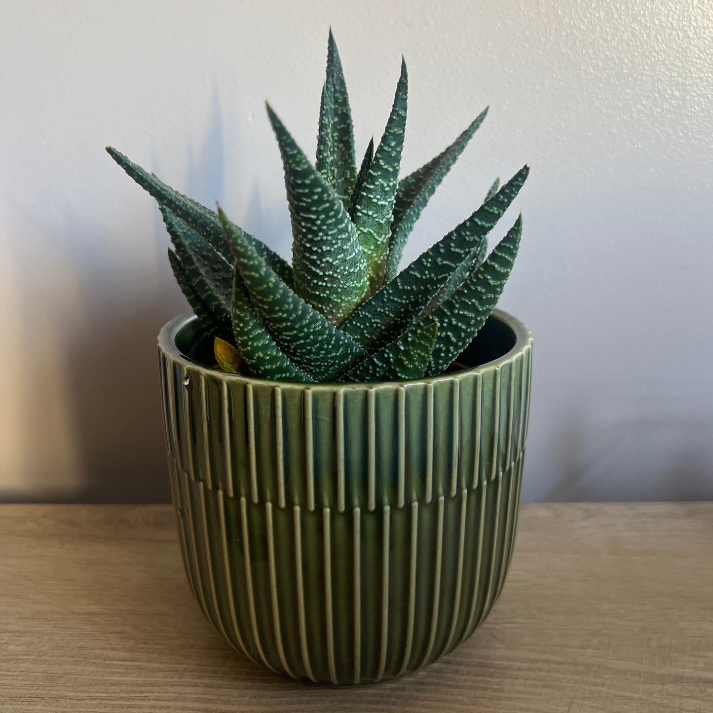 Retro Green Ceramic Glazed Pot 12cm