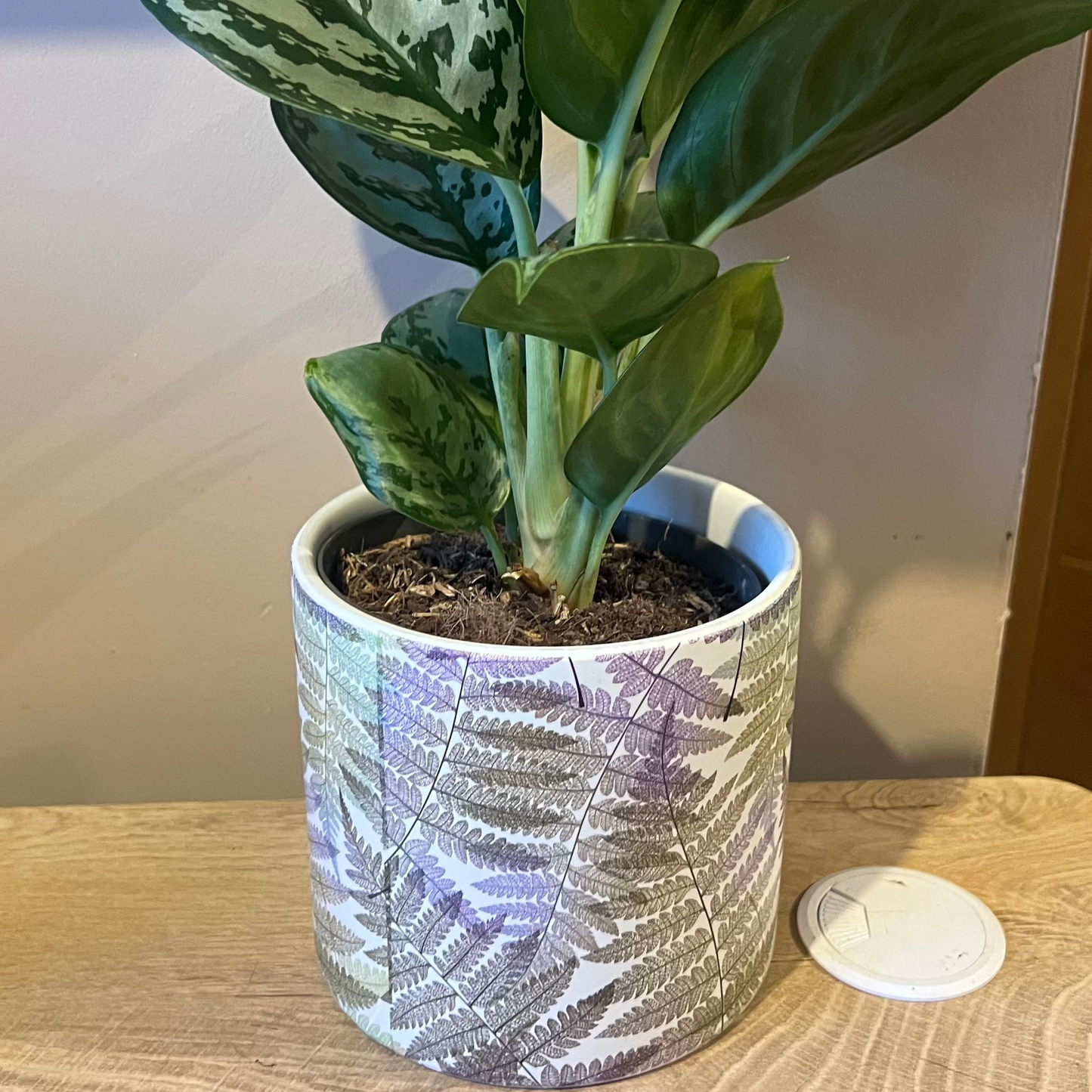 Green & Lilac Fern Pot 12cm inner