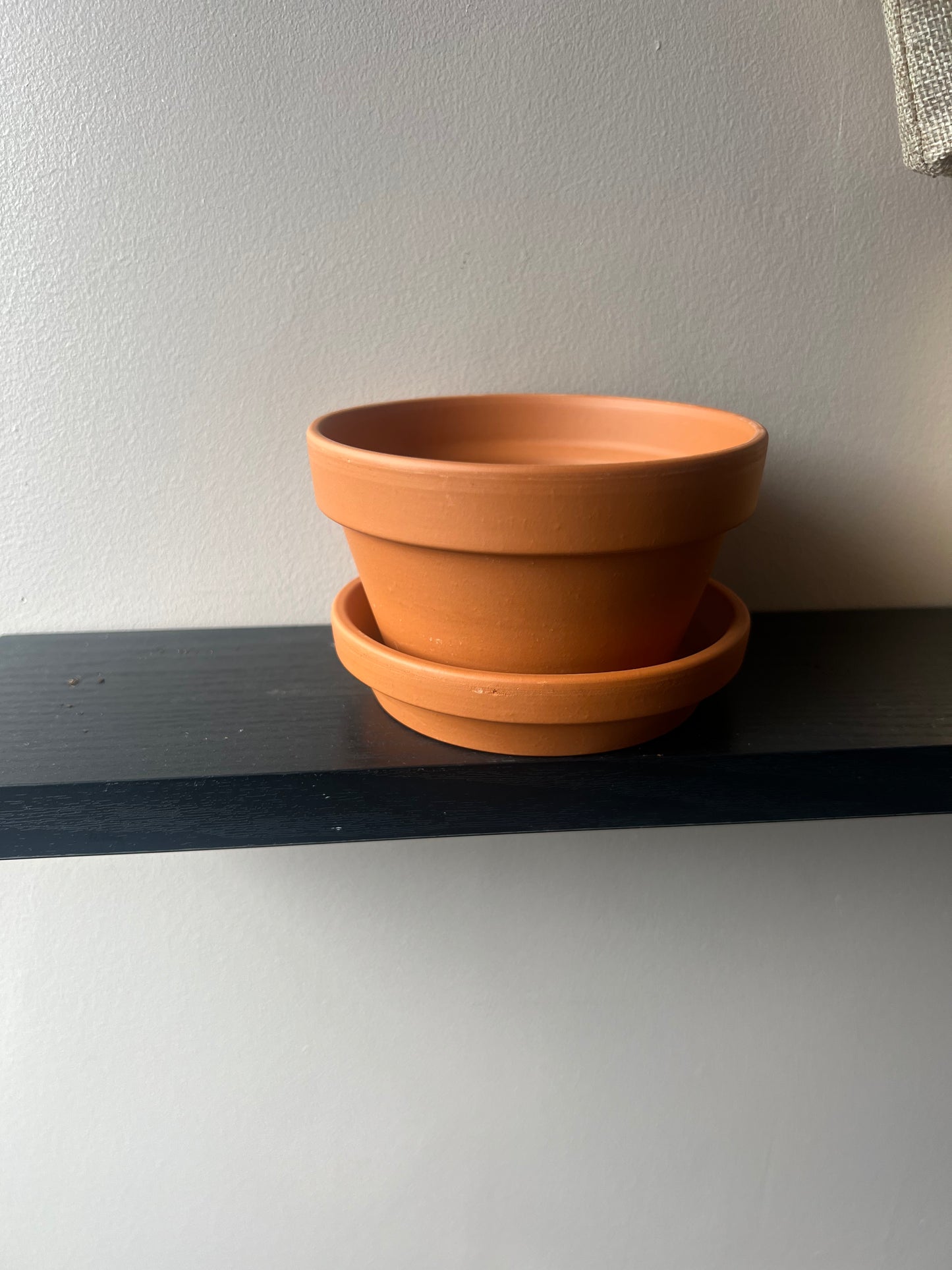 Half Terecotta Pot (Succulents) 13cm