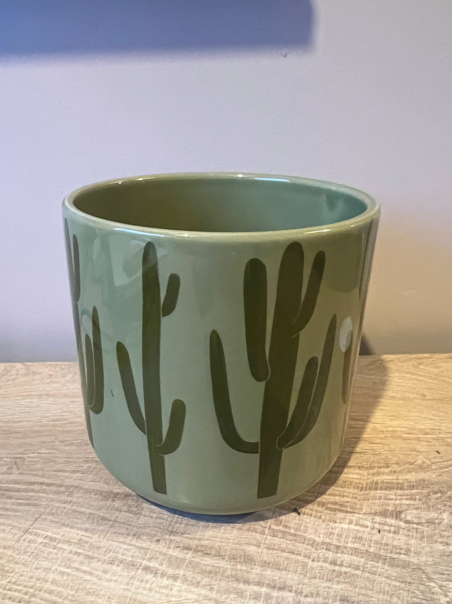 Cactus print plant pot 12cm light green