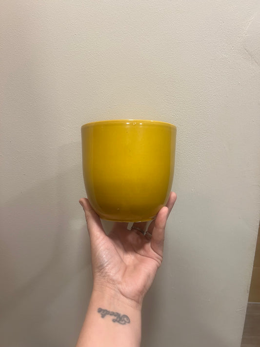 Mustard Yellow ceramic pot 12cm