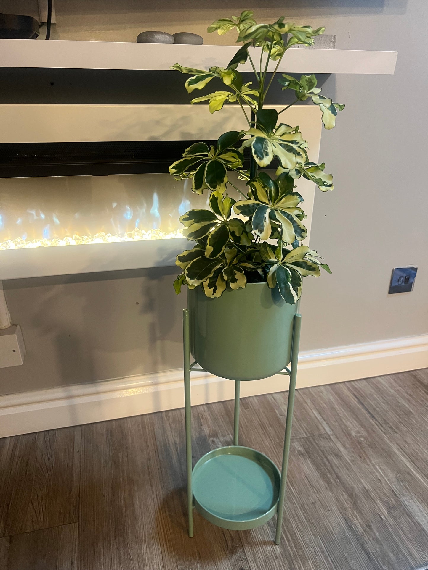 Green Pot Stand Colyn 60cm tall 19cm pot size