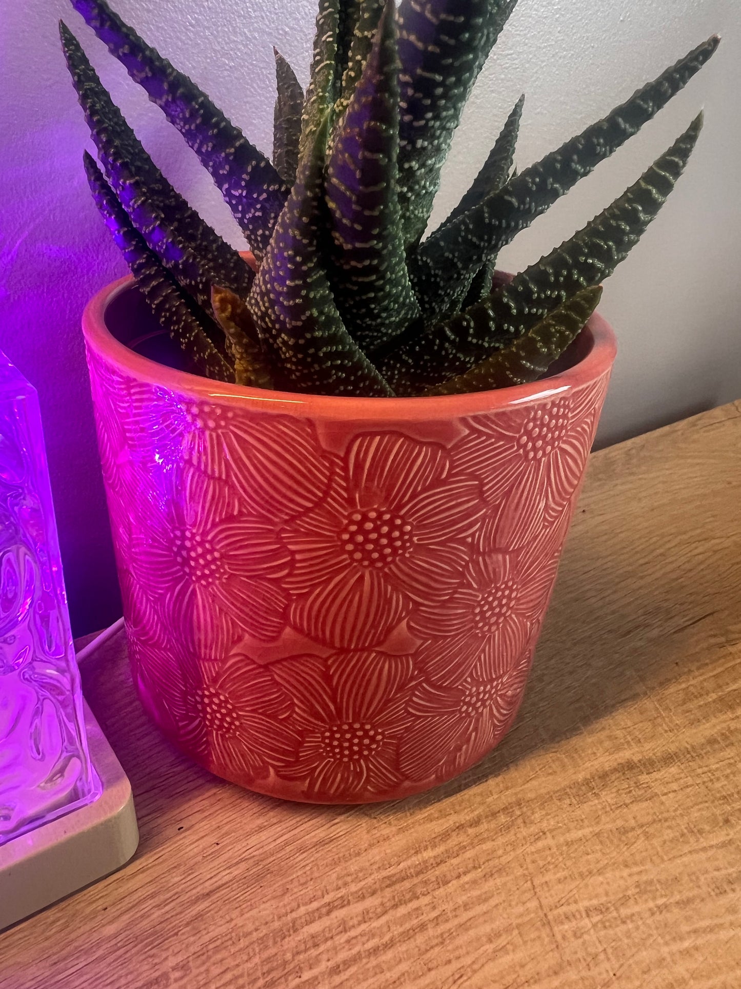 pink pattered ceramic pot clearance wont return 12cm