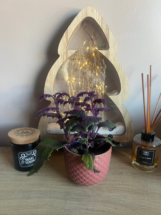 Daan pink ceramic pot 10cm