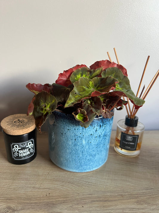 Javea Blue Glazed Pot 14cm