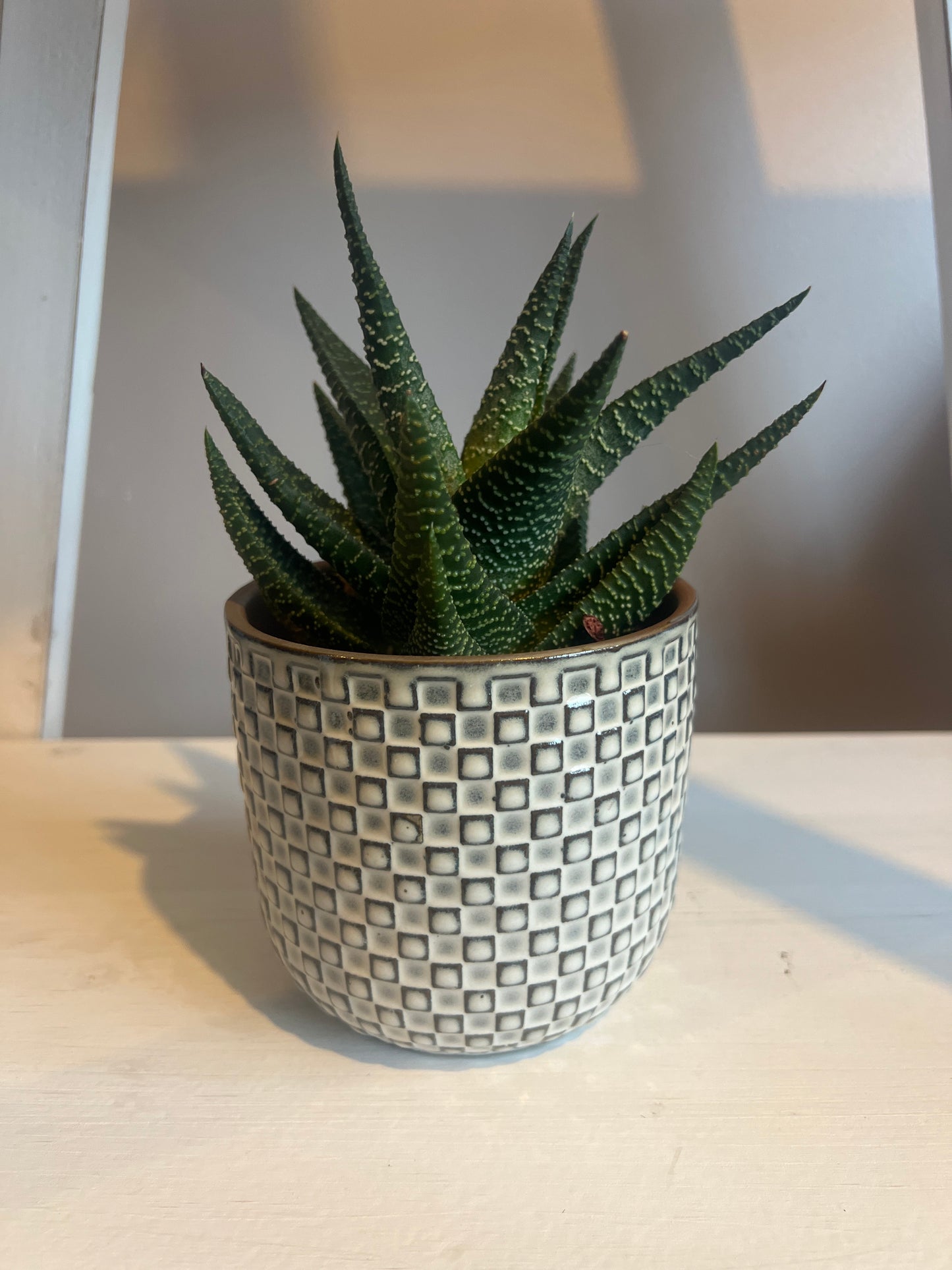 Daan white  ceramic pot 11cm