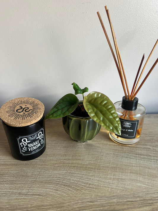 mini tulip glazed pot green 7.5cm