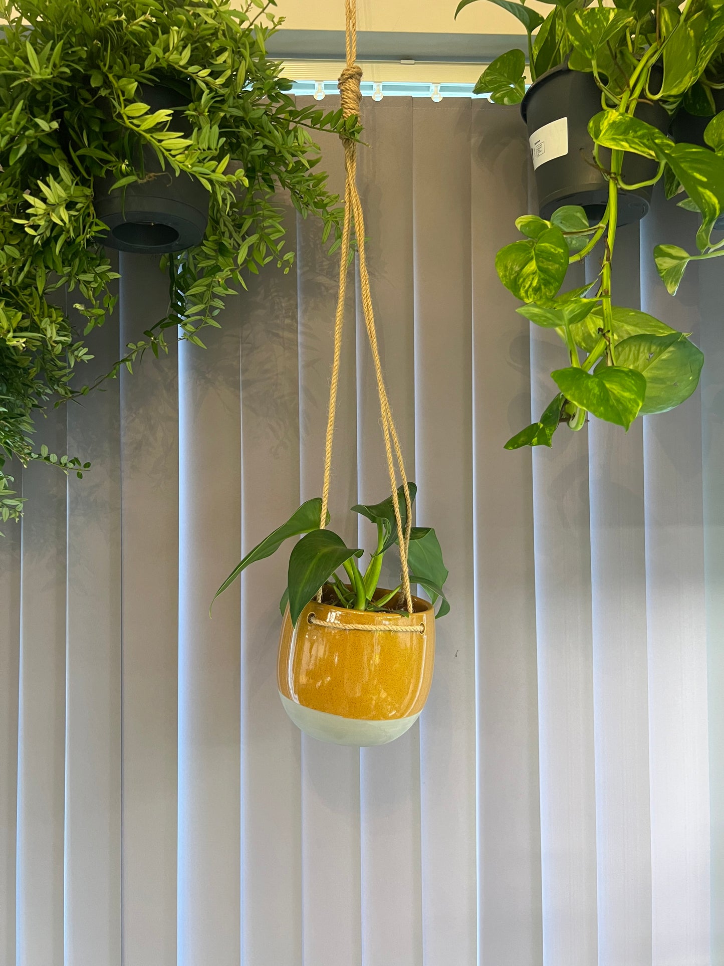 Mustard hanging ceramic pot 13cm