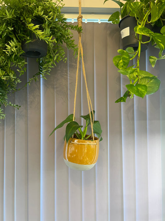Mustard hanging ceramic pot 13cm