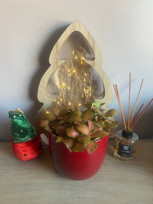 Tusca Red Pot 14.5cm