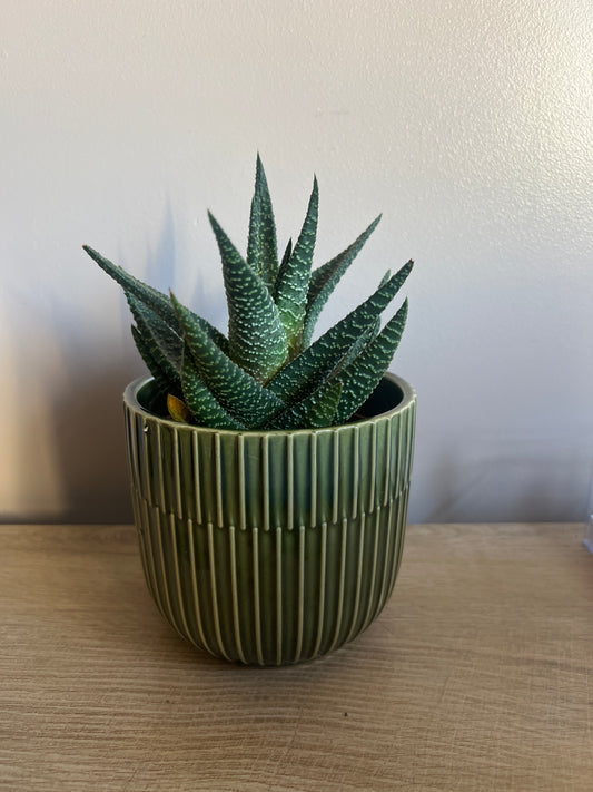 Retro Green 12cm ceramic glazed pot