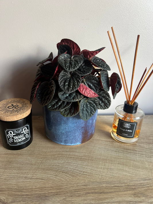 Javea Blue Glazed Pot 12cm