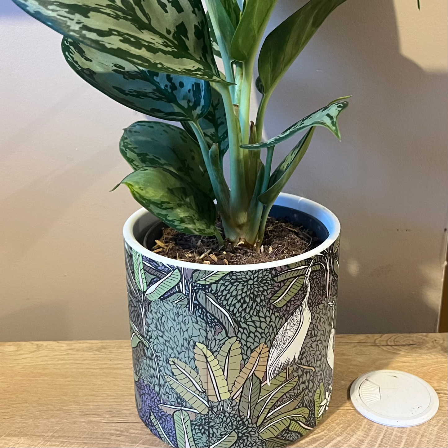 Stork Plant Pot 12cm inner