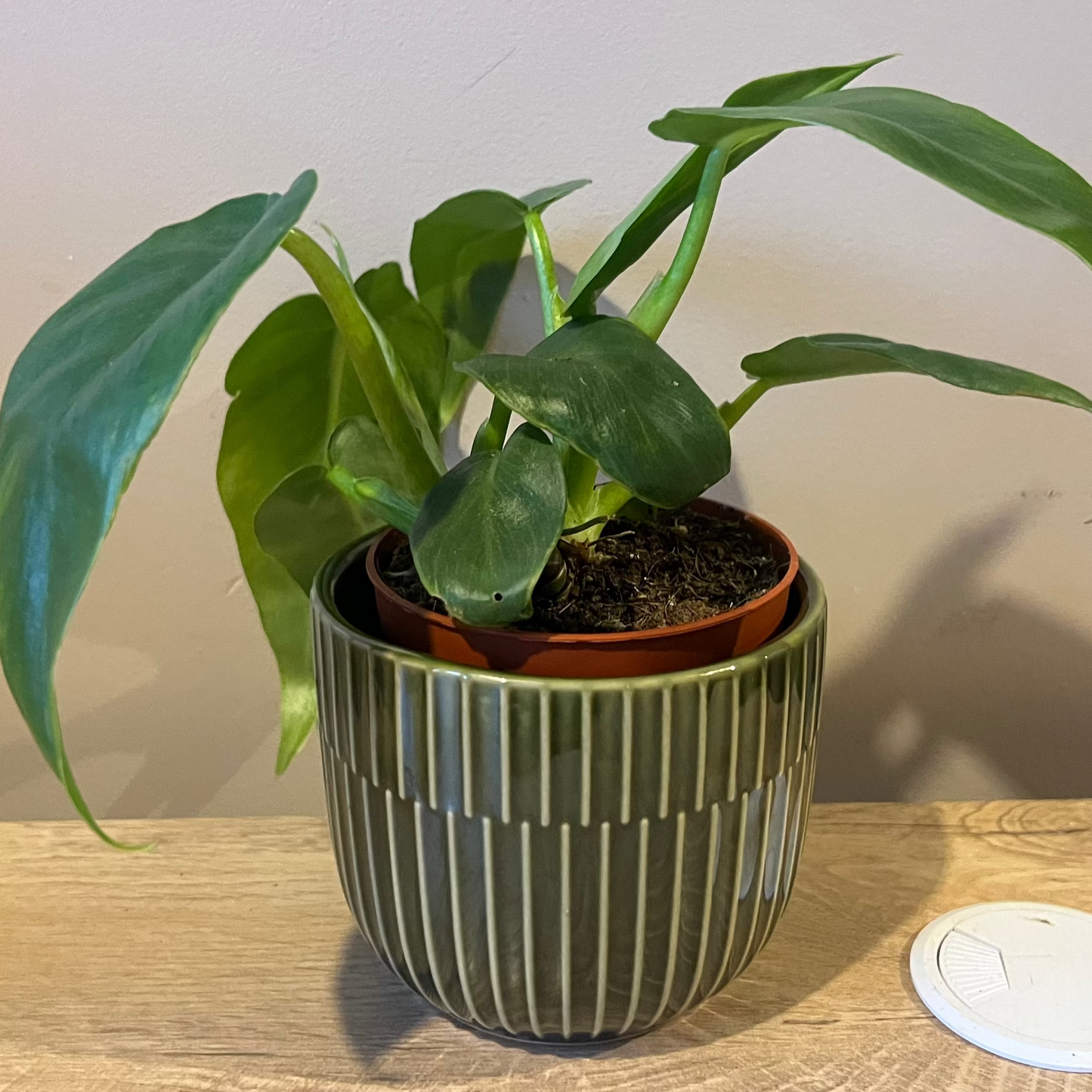 Retro Green Ceramic Glazed Pot 10cm