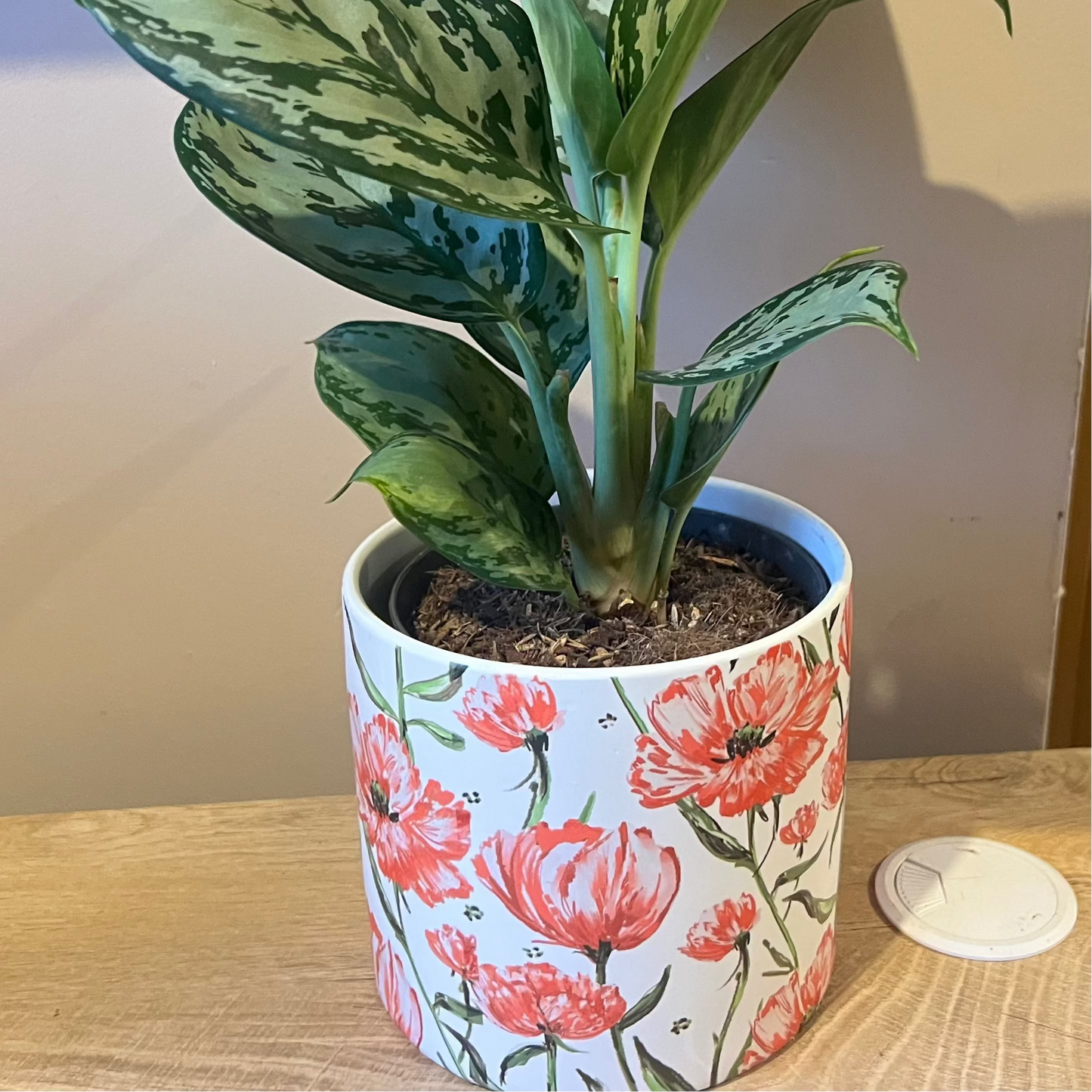 Poppy Plant Pot 12cm inner