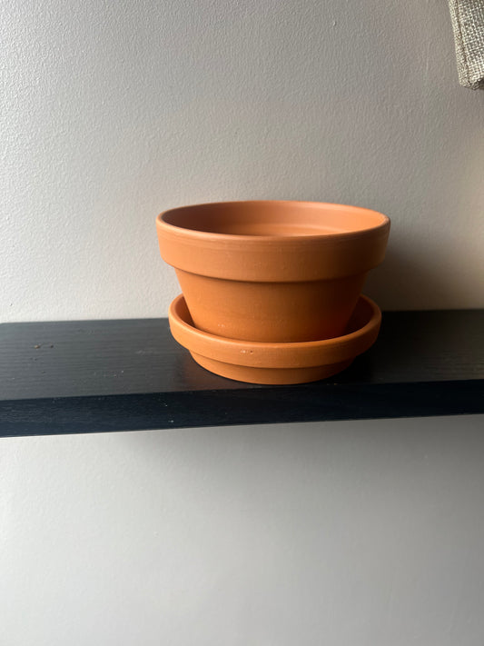 Half Terecotta Pot (Succulents) 13cm