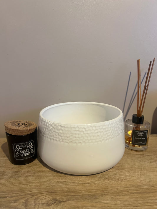 White Succulent Bowl 20cm