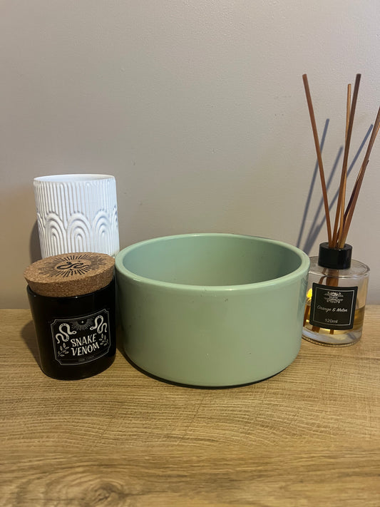 Green Succulent Bowl 16cm