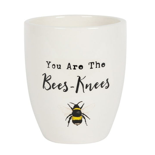 You Are the Bees Knees Ceramic Plant Pot 10cm