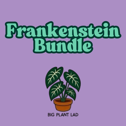 Frankenstein Bundle