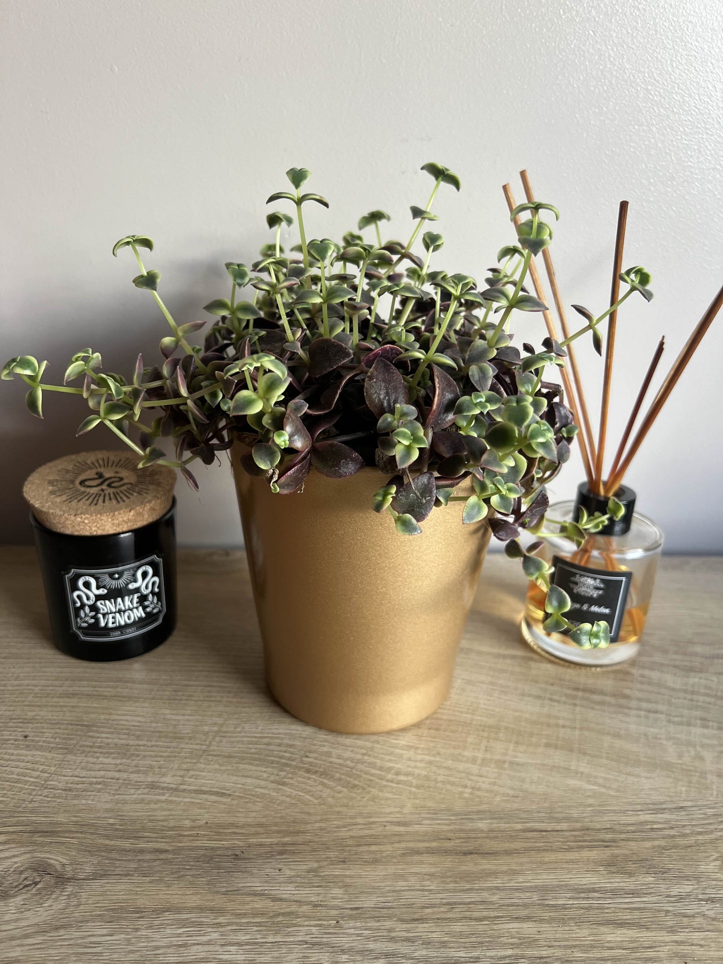 Ceramic Pot 14cm (red, green or gold)