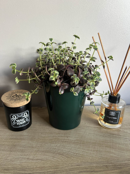 Ceramic Pot 14cm (red, green or gold)