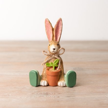 Jasper Rabbit Holding House Plant, 12cm