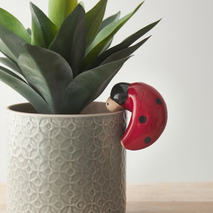 Ladybird Flower Pot Hanger, 7.4cm