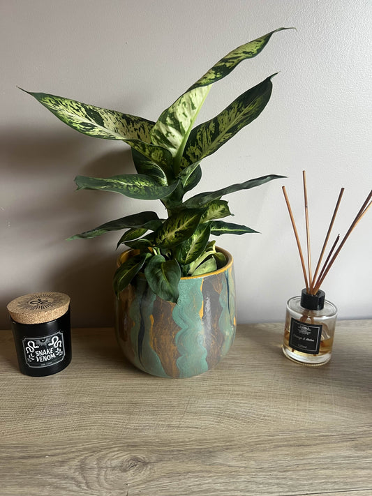 Painted Tommy pot 13cm