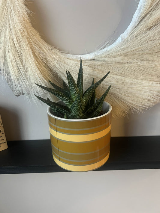 Retro Striped Ceramic Pot 11.5cm (2 Styles)