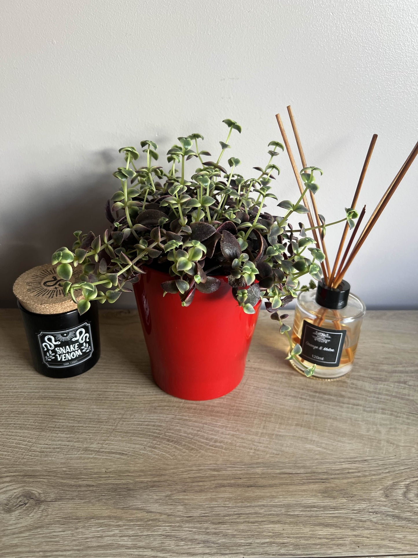 Ceramic Pot 14cm (red, green or gold)