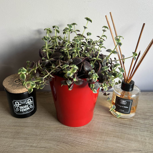 Ceramic Pot 14cm (Red or Gold)