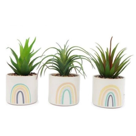 Succulent Rainbow Pot with Artificial Plant (3 styles)